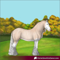 Horse Color:Silver Amber Champagne Roan Splash Rabicano