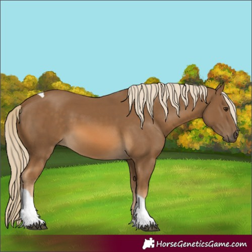Horse Color:Chocolate Palomino Tobiano 
