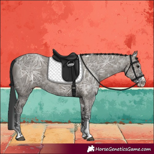 Horse Color:Grullo Ice Splash Tobiano 