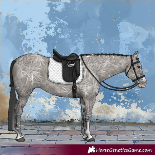 Horse Color:Grullo Ice Splash Tobiano 