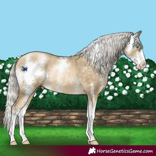 Horse Color:Silver Buckskin Pearl Sabino 