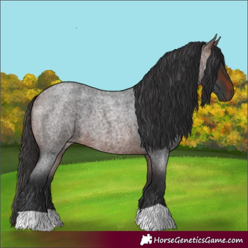 Horse Color:Brown Roan 