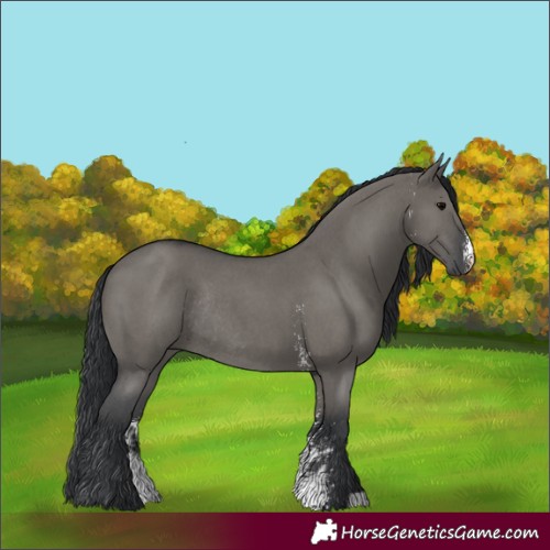 Horse Color:Grullo Sabino Rabicano 