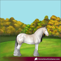 Horse Color:Gray Amber Champagne Dun Sabino Splash Blanket Rabicano