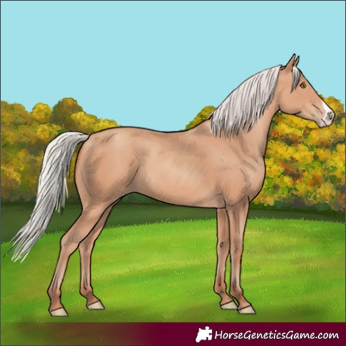 Horse Color:Silver Amber Champagne Frame