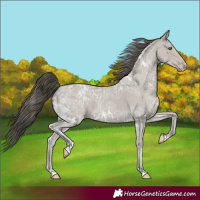 Horse Color:Classic Cream Champagne Ice 