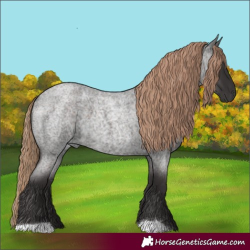 Horse Color:Liver Red Roan 