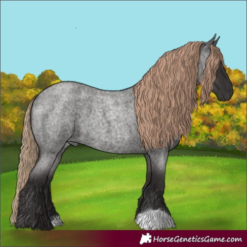 Horse Color:Liver Red Roan 