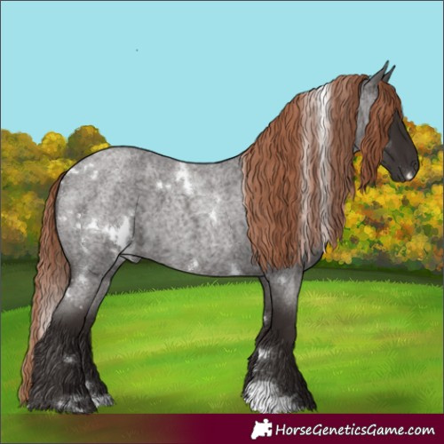 Horse Color:White Spotted Liver Red Roan 