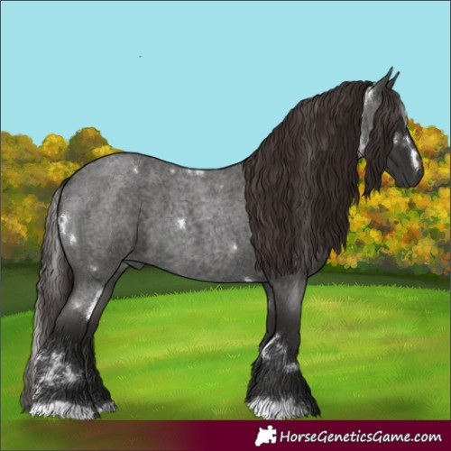 Horse Color:White Spotted Liver Red Roan