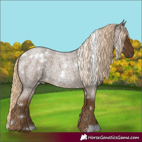 Horse Color:White Spotted Chocolate Palomino Roan 