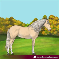 Horse Color:Palomino 