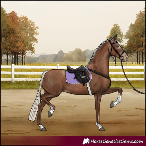 Horse Color:Gray Silver Black Pearl Tobiano 