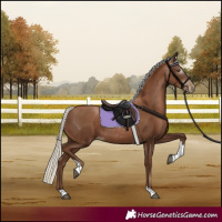 Horse Color:Gray Silver Black Pearl Tobiano