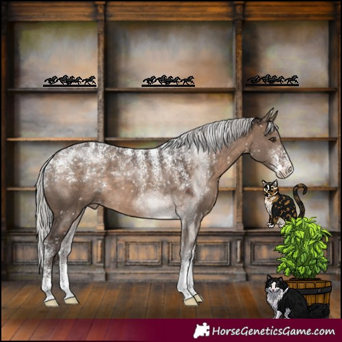 Horse Color:Powder White Silver Brown Dun Appaloosa 