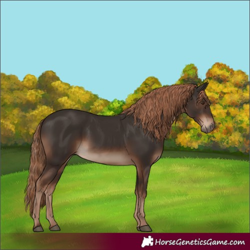 Horse Color:White Spotted Liver Chestnut 