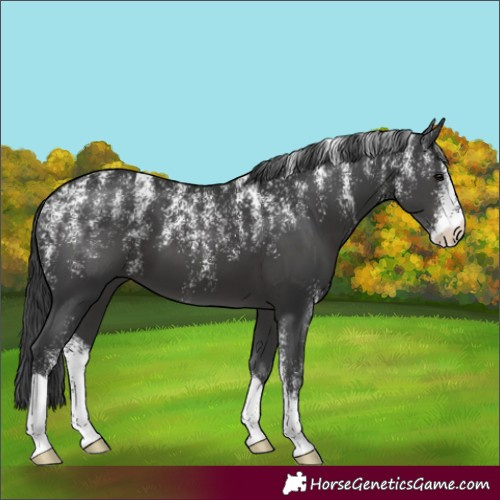 Horse Color:Powder White Black 