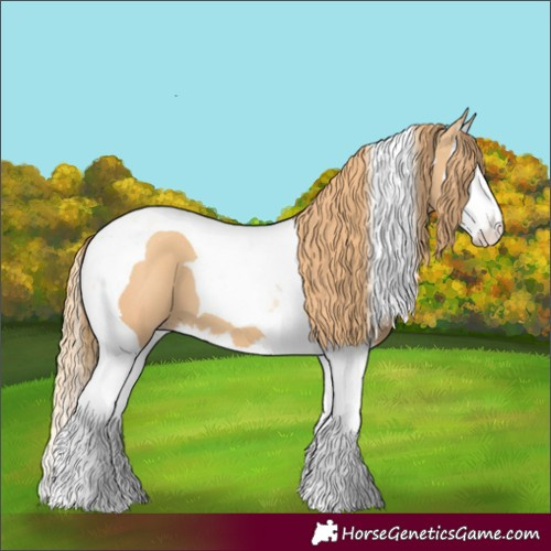 Horse Color:Gold Champagne Splash Tobiano 