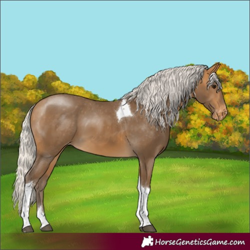 Horse Color:Silver Buckskin Tobiano Appaloosa 