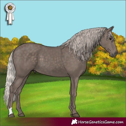 Horse Color:Silver Black