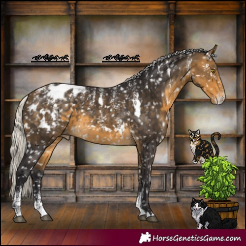 Horse Color:Powder White White Spotted Silver Buckskin Blanket