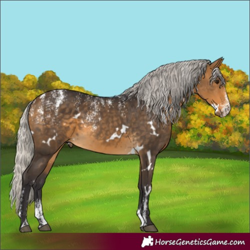 Horse Color:Powder White White Spotted Silver Buckskin 