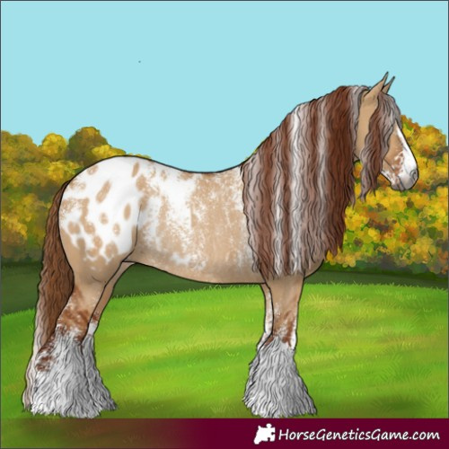 Horse Color:Powder White Gray Red Dun Appaloosa Rabicano 