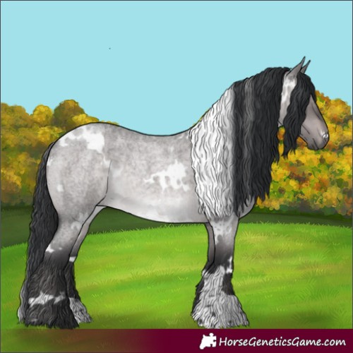 Horse Color:Platinum White Spotted Brown Roan Dun Rabicano 