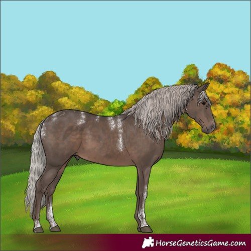 Horse Color:Powder White Silver Black Rabicano 