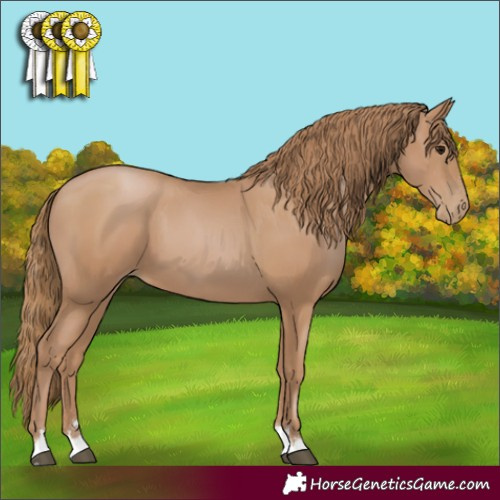 Horse Color:Black Pearl 