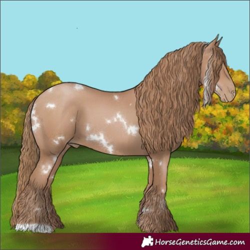 Horse Color:White Spotted Black Pearl 