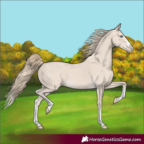 Horse Color:Smoky Creme Splash 