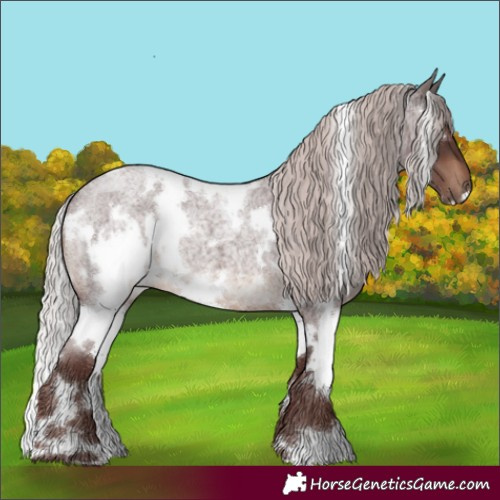 Horse Color:White Spotted Chocolate Silver Brown Roan