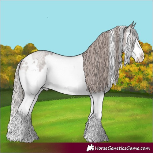 Horse Color:White Spotted Chocolate Silver Blue Roan Splash 