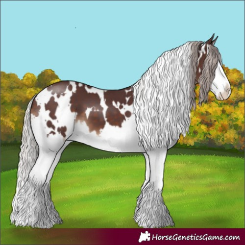 Horse Color:White Spotted Chocolate Silver Brown Splash