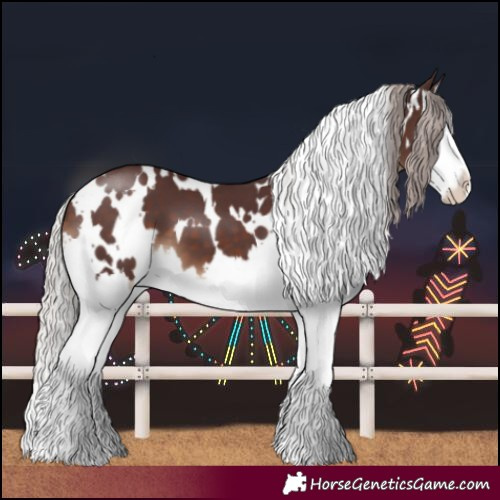 Horse Color:White Spotted Chocolate Silver Brown Splash 