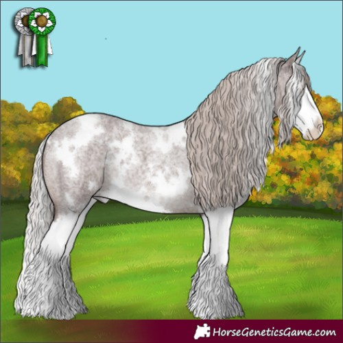 Horse Color:White Spotted Chocolate Silver Blue Roan Splash