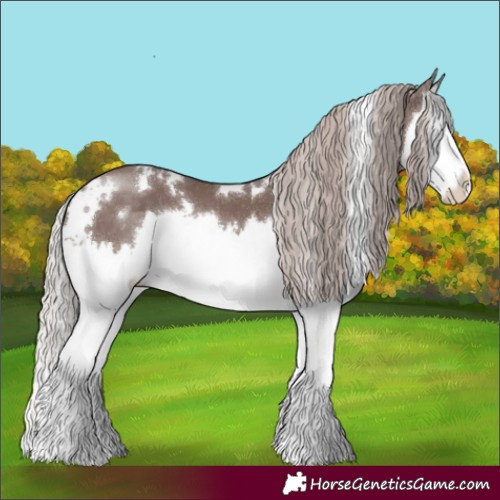Horse Color:White Spotted Chocolate Silver Black Splash 