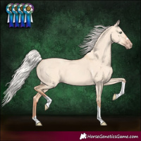 Horse Color:Silver Classic Champagne Dun Tobiano