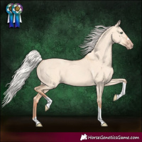 Horse Color:Silver Classic Champagne Dun Tobiano 