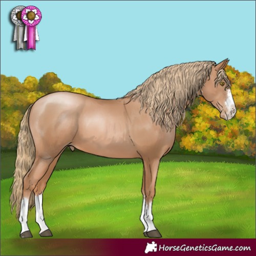 Horse Color:Chestnut Pearl 