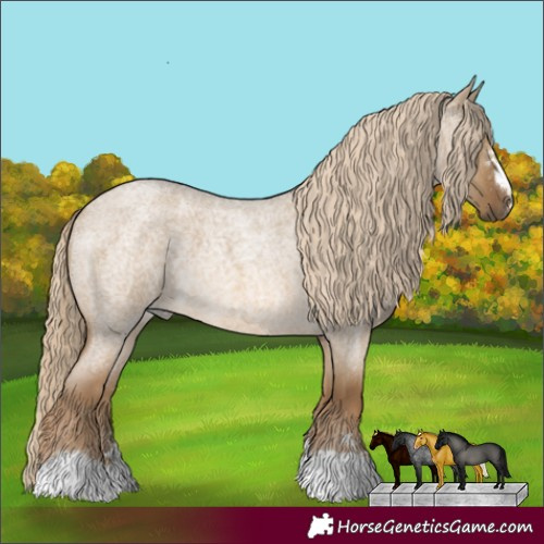 Horse Color:Gold Cream Champagne Roan Dun 