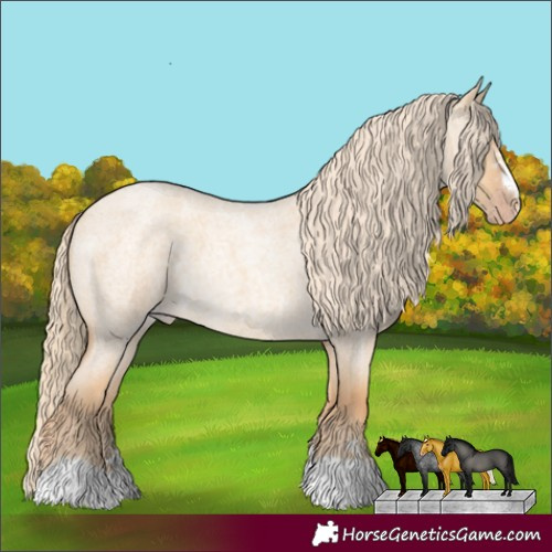 Horse Color:Gold Cream Champagne Roan Dun 