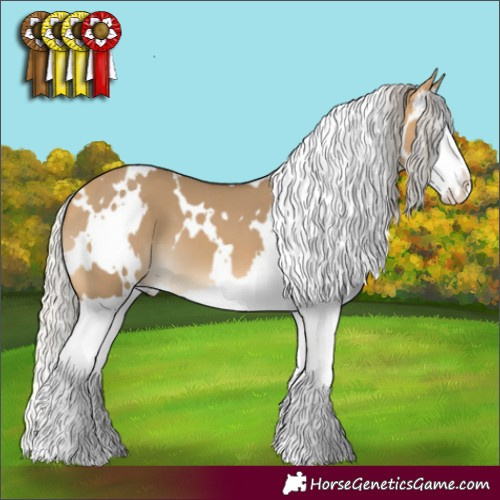 Horse Color:White Spotted Silver Buckskin Dun Splash