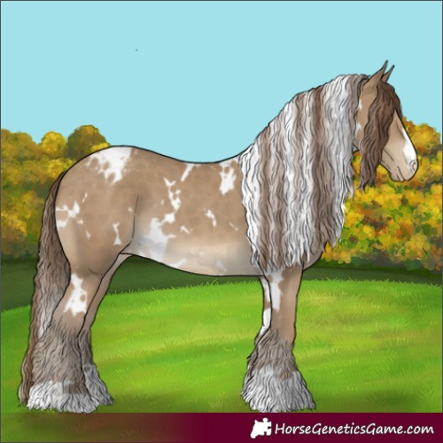 Horse Color:White Spotted Classic Cream Champagne Appaloosa