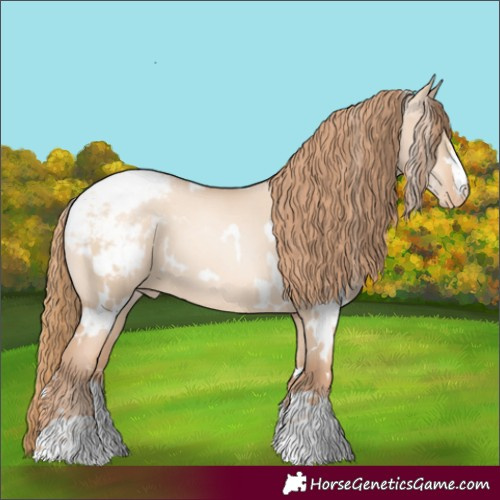 Horse Color:White Spotted Gold Champagne Pearl Dun Appaloosa 