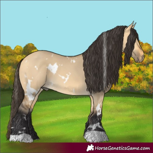 Horse Color:White Spotted Buckskin Dun 