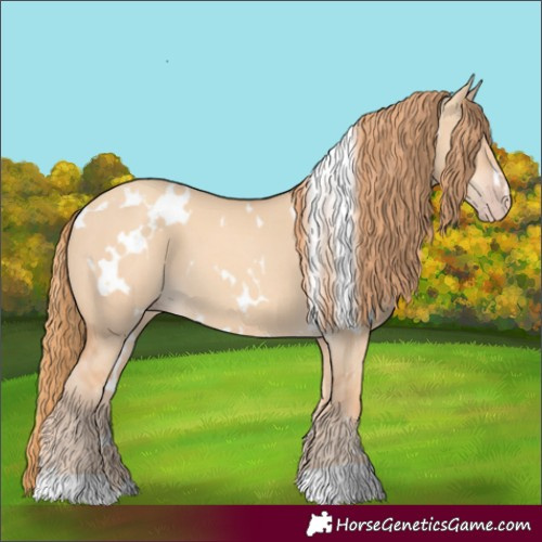 Horse Color:White Spotted Gold Champagne Dun