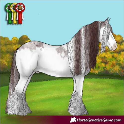 Horse Color:White Spotted Chocolate Brown Roan Splash