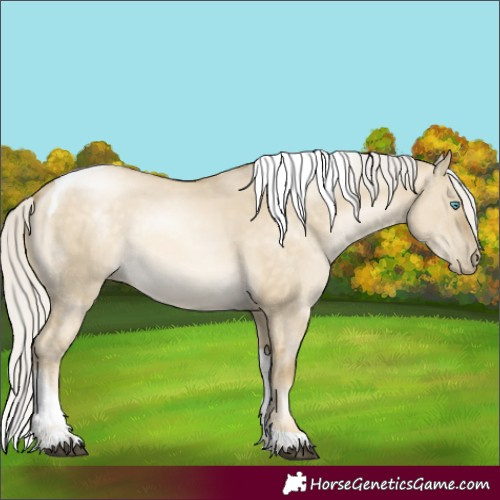 Horse Color:Silver Brown Snowdrop Pearl Dun Tobiano Rabicano 